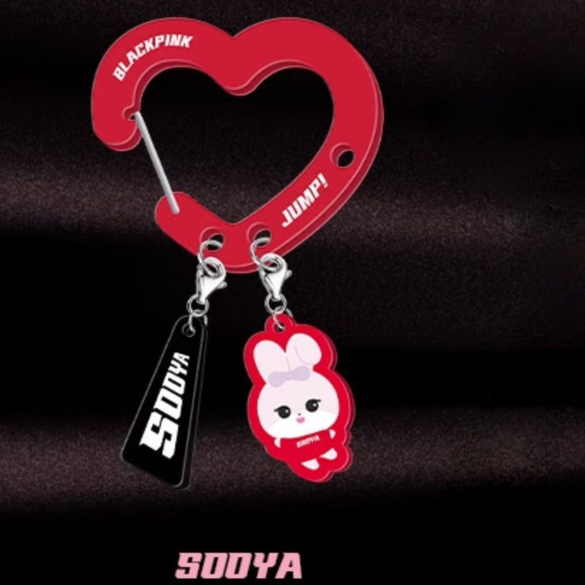 BLINK World Tour DEADLINE 2025 Keychain - Official Merch Gift For BLINK